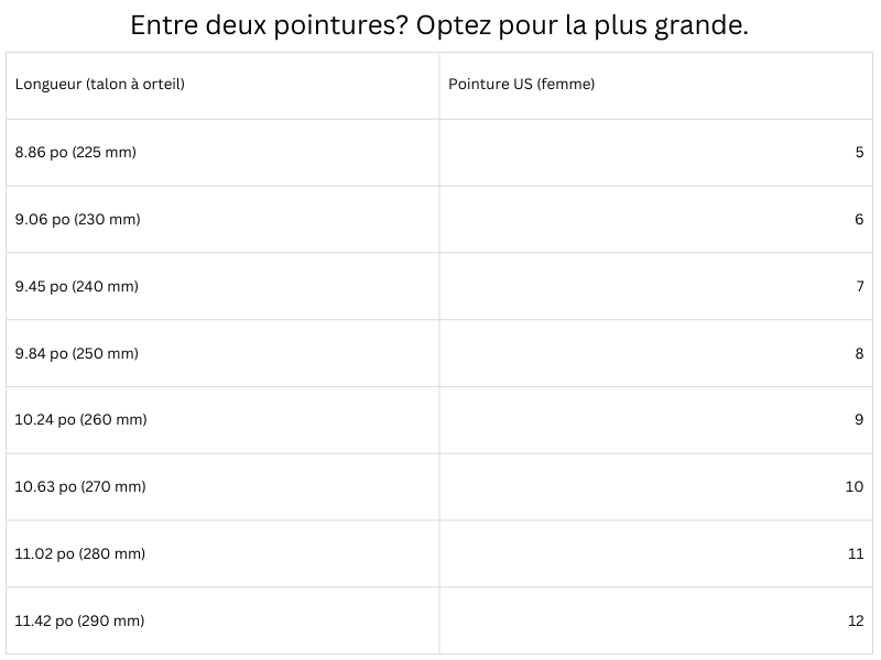 Guide des tailles